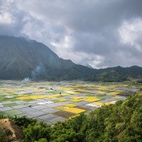 Lombok - úžasný výhled na zeleninová políčka